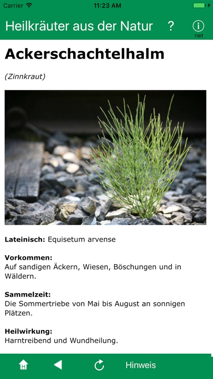 Heilkräuter aus der Natur