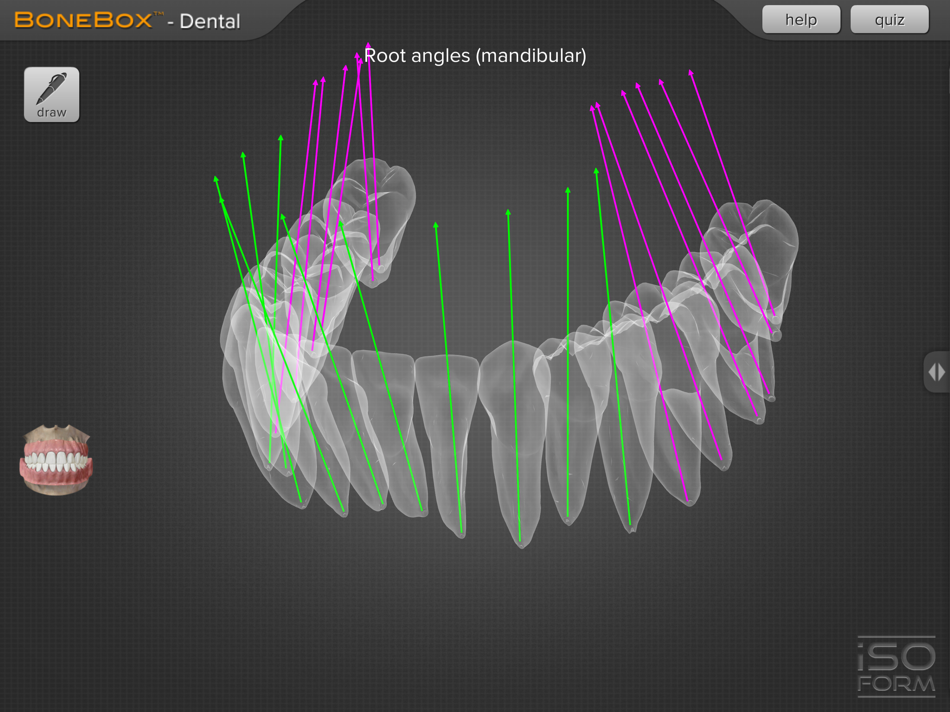 Bone box. Bone Box Dental Pro. Dental-Pro мобильное приложение. Dental Pro брошюра.