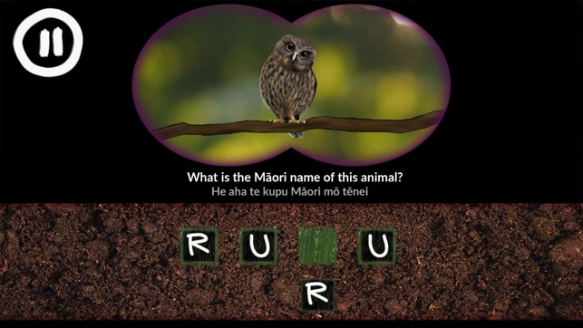 He Kīrehe Māori / Native Animals(圖2)-速報App