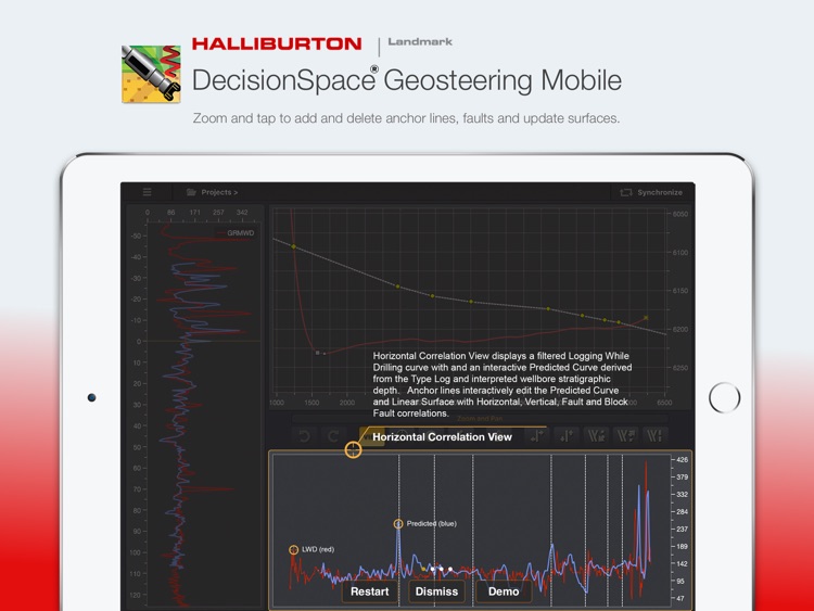 DecisionSpace Geosteering Mobile screenshot-4