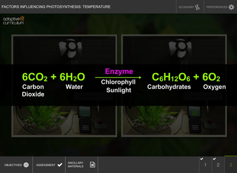 Factors Influencing Photosynthesis: Temperature screenshot 4