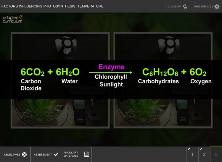 Factors Influencing Photosynthesis: Temperature screenshot-3