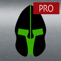 Paladin VFR Pro
