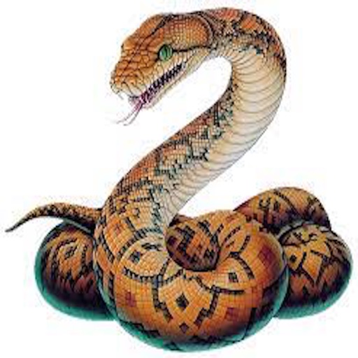 Hunting Snakes icon