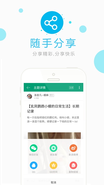 爱鸟之家