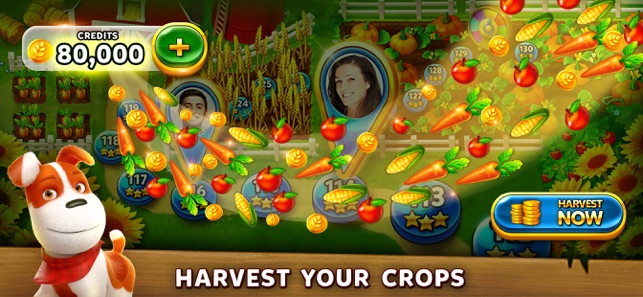 Solitaire Grand Harvest