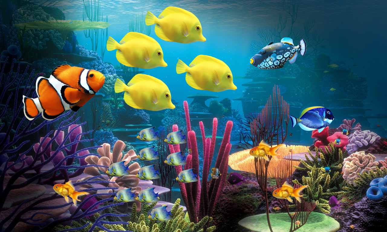 Aquarium Life HD