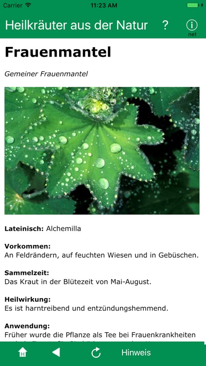 Heilkräuter aus der Natur