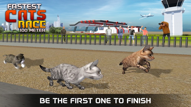 Fastest Pet Cat Racing fun Game screenshot-4