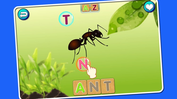First & Sight Words - Spelling & Learning for kids