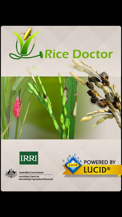 Rice Doctor