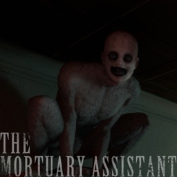 Scary Mortuary Assistant Game