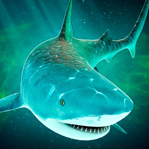 Shark Attack: Fish Predator Ocean Sea Adventure Survival, shark