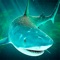 Icon Sea of Sharks - Survival World