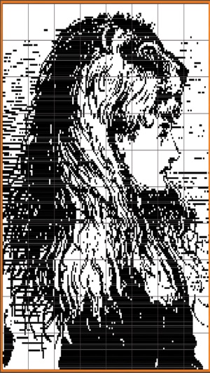 No.7 Pictures Nonogram/Picross(圖1)-速報App