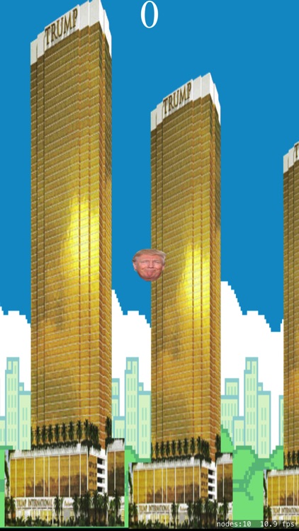 TrumpyBirdz screenshot-3