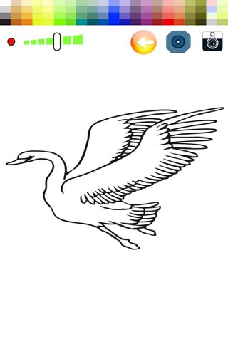 Coloring Page and Paint Swan screenshot 2