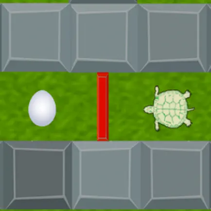 The Turtle's Challenge Читы