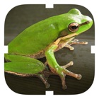 Top 10 Education Apps Like Frog Croaker - Best Alternatives