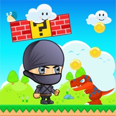 Activities of Cool Ninja Adventure