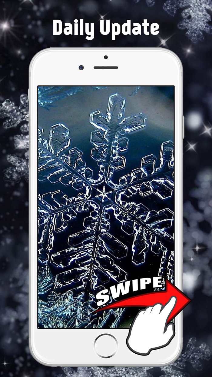 雪と凍ったの壁紙