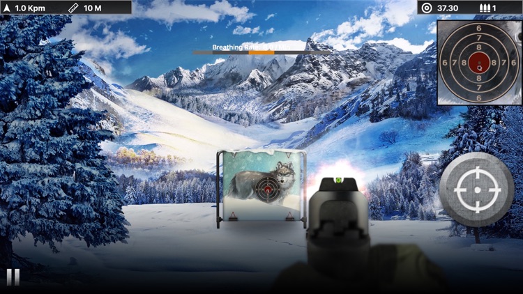Wolf Target Shooting