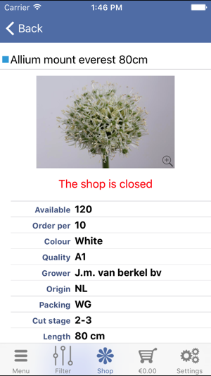 Ormond Floral Services(圖4)-速報App