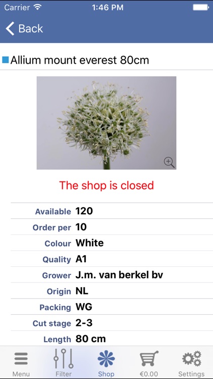 Ormond Floral Services screenshot-3