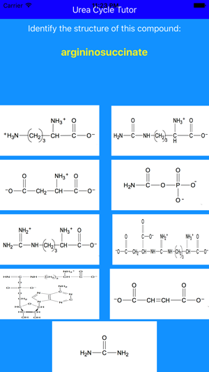 Urea Cycle Tutor(圖5)-速報App