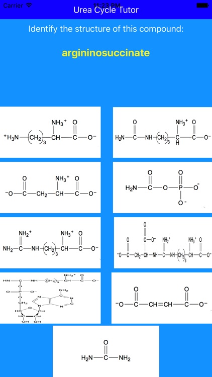 Urea Cycle Tutor screenshot-4