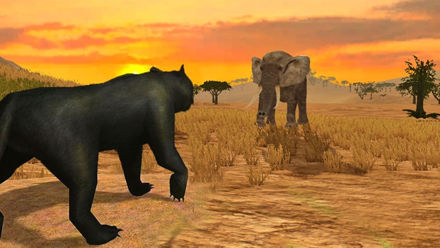 Deadly Black Panther - WIld Animal Simulator 3D(圖4)-速報App