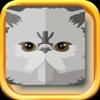 Persian Cat Stickers - Persian Cat Emojis