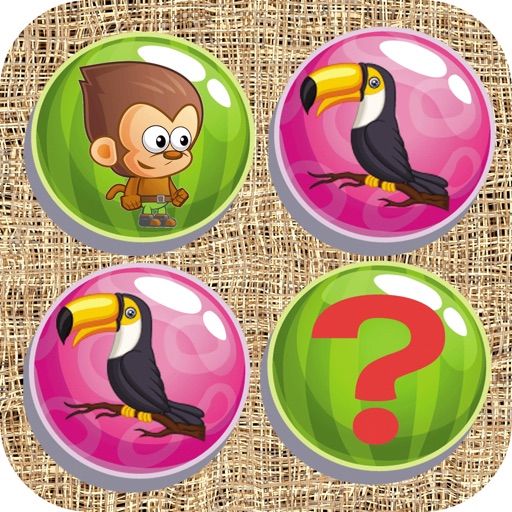 Match Animal Farm Facts Cards Icon