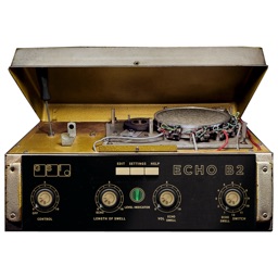 ECHO B2