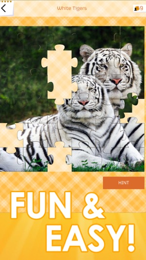 Jigsaw Puzzles - Fun(圖3)-速報App