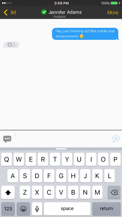 Bria Stretto™ for BlackBerry iPhone Edition screenshot-4