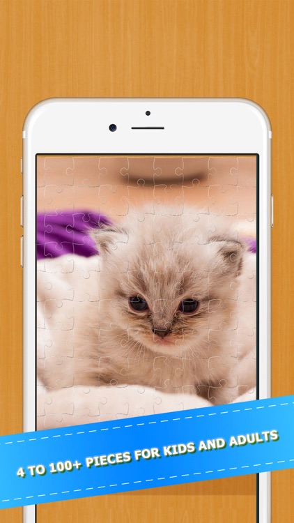 Cat Kitten Kitty Pet Jigsaw Puzzle Sliding Game screenshot-3