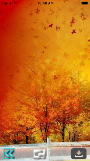 First Day Fall - Autumn HD Wallpapers(圖3)-速報App