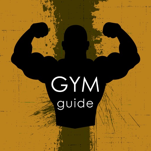 Gym workout Guide : A Personal Trainer In Hindi icon