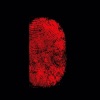 Yazan Fingerprint