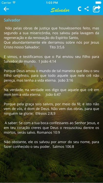 Pela Fé: Promessas Biblicas screenshot-4