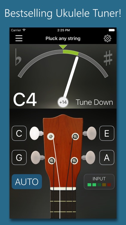Precision Ukulele Tuner - with Chords & Metronome