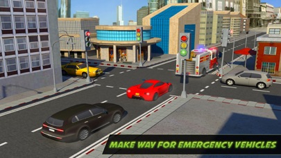 City Traffic Control Rush Hour Driving 3D Sim: PRO Screenshot 3