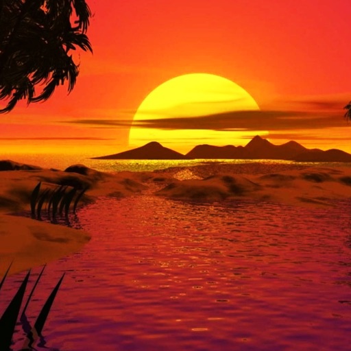 Sunset view, Sunset, Ocean, Horizon HD wallpaper | Wallpaper Flare