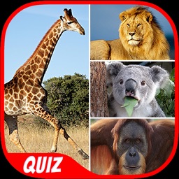 Animals Quiz - Pro