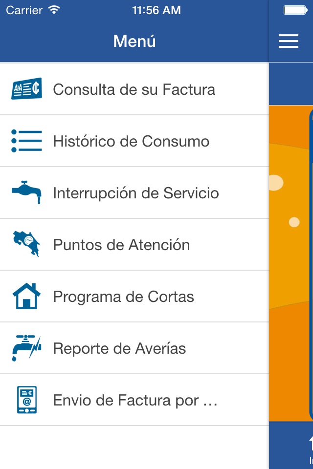 Servicios AyA screenshot 3