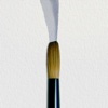 Art Brush Watercolor