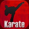 Karate TKD Martial Arts Black Belt and Basics