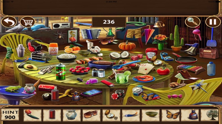 Free Hidden Objects : Picnic Master