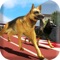 Super Dog Racing Champions is most exciting simulator adventurous game